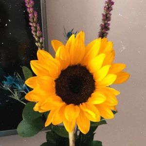 Meet your Posher, Gabriela